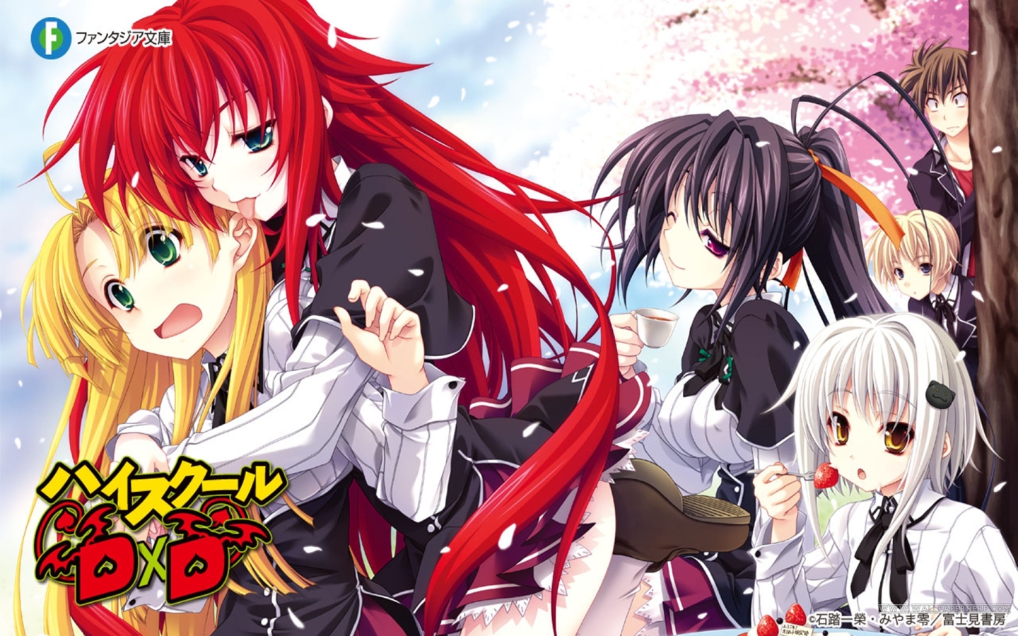 The end of DXD novels